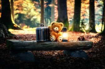 Teddy Bears Cute Alone In Forest HD 4k Wallpaper Image Photos And Picture