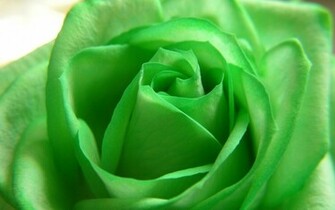 Green Flowers