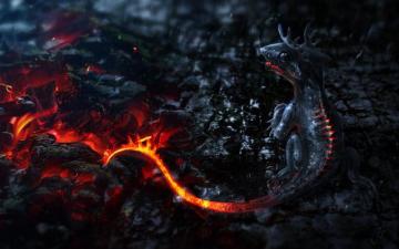 Wallpaper Fantasy Art Dragon Fire Digital