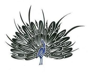 Peacock Drawing Sketch Drawings