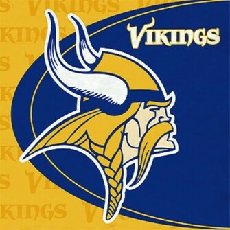 Vikings Graphics Code Comments Pictures