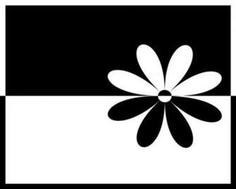 Black And White Abstract Flowers Wallpaper High