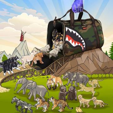Sprayground Noah S Shark The Ultimate In Pet Carriers