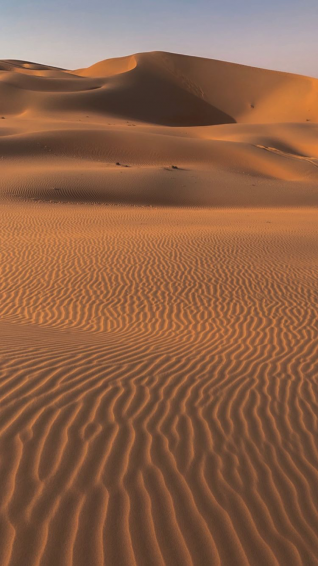 Pin De Vicki Gagiano En Dune Wallpaper