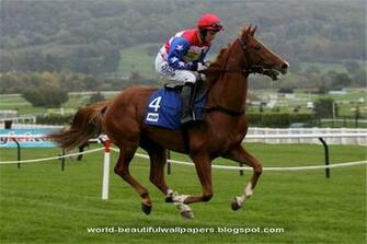 Beautiful Wallpaper Racing Horse