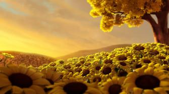 Sunflower Field Wallpaper