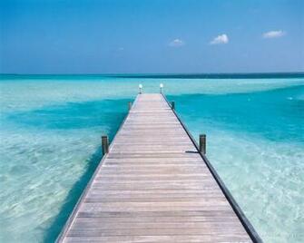 Paradise Wallpaper Art Print Poster Tropical