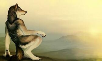 Furry Fandom Wolves Wolf Anthropomorphic Anthro HD