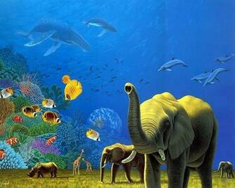 Animal Kingdom Wallpaper