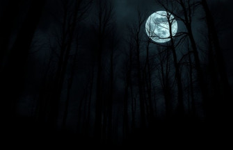 Dark HD Wallpaper 1080p