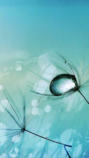 Samsung Galaxy S6 Type Wallpaper For N