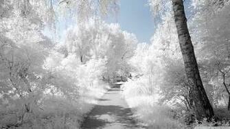 Infrared Landscape Wallpaper Top