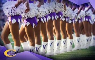 Minnesota Vikings Cheerleader Wallpaper