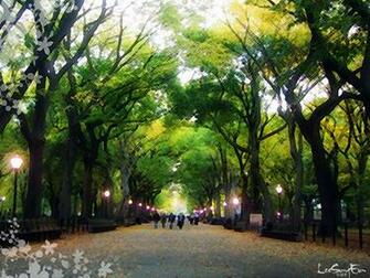 Where Is Wallpaper Central Park Background