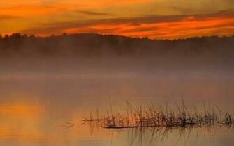 Foggy Lake Wallpaper