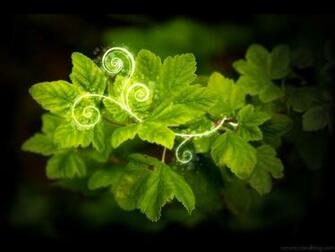 Go Green Wallpaper