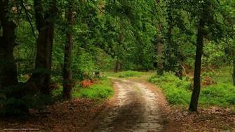Wallpaper Summer Nature Computer Road Original
