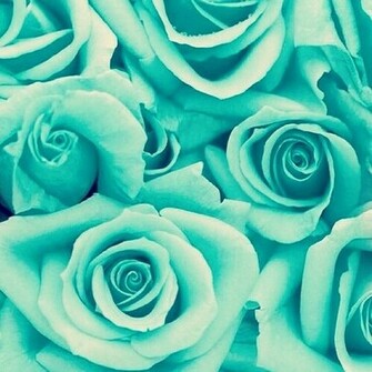 Green Mint Aqua Roses Wallpaper Background