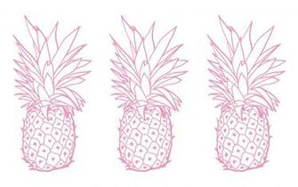 Click Here To The Pineapple Express Desktop Wallpaper