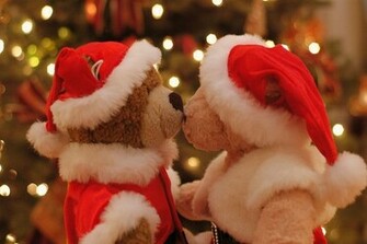 Bear Boy Christmas Love Forever Young Girl Real