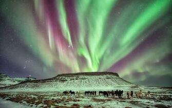 Home Others Space Aurora Borealis Wallpaper