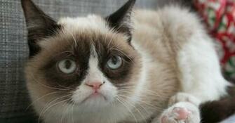 Grumpy Cat Loopele