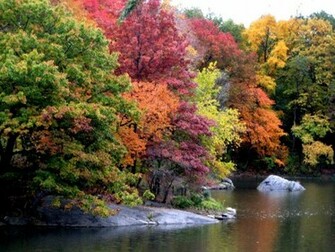 Autumn Background Wallpaper Fall Desktop Pics