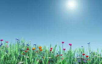 Nature Spring Wallpaper High Resolution