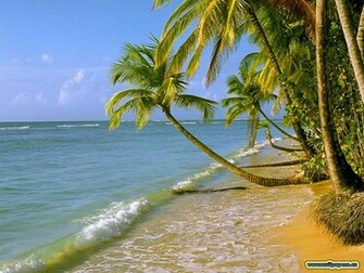 Nature Wallpaper For Desktop Express Is All About