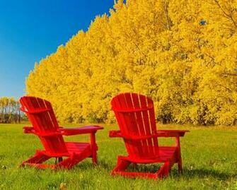 Bright Summer Day Wallpaper