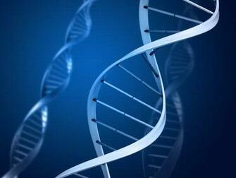 Dna Molecule Double Helix Illustration