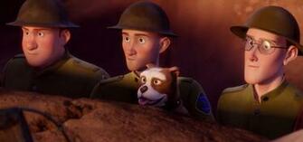 Sgt Stubby An American Hero What You Need To Know About It