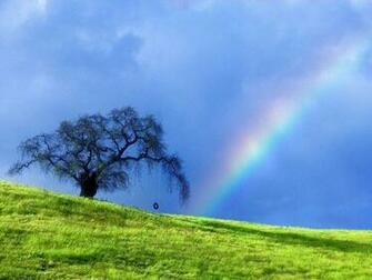 Nature Wallpaper