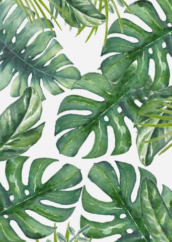 Monstera Leaves Throw Pillow By Nadja Cover X With