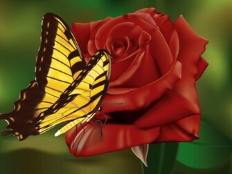 Red Butterfly Wallpaper HD In Cute Imageci