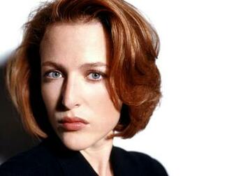 Gillian Anderson Wallpaper Image