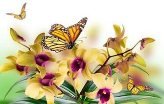 Wallpaper Leaves Flowers Collage Butterfly Petals Moth