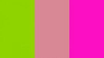 Sheen Green Shimmering Blush And Shocking Pink Three Color Background