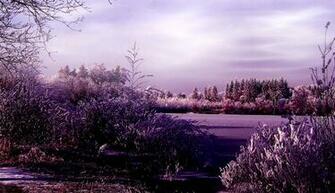 Paarse Winter Landschap Wallpaper