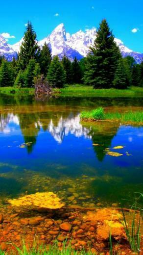 Live Nature Wallpaper Sony Xperia Smartphone HD