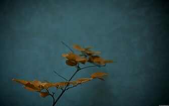 Vintage Desktop Wallpaper