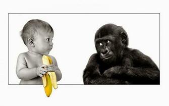 Wallpaper Gambar Lucu Dp Bbm