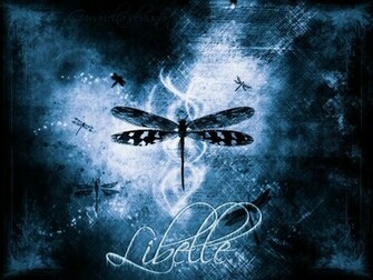 HD Desktop Wallpaper Dragonfly