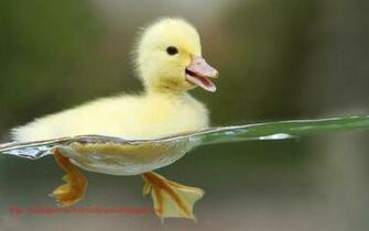 Rare Collection Of Wallpaper Heart Touching Refresh
