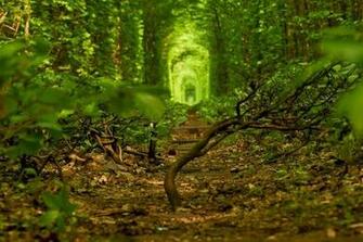 Tunnel Of Love Yoso