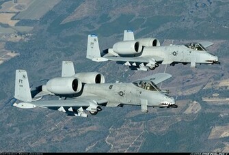 Warthog Wallpaper