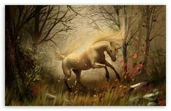 Related Pictures HD Unicorn Wallpaper Windows Org