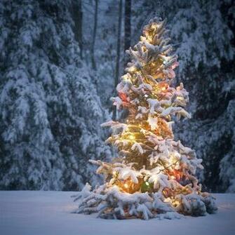 Neon Light On Snowy Christmas Tree iPad Wallpaper