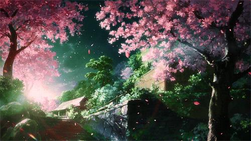 Trees Amazing Best Not Mine Japanese Japan Background Gorgeous