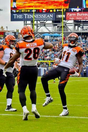 Bengals Rb Joe Mixon Suffers Concussion